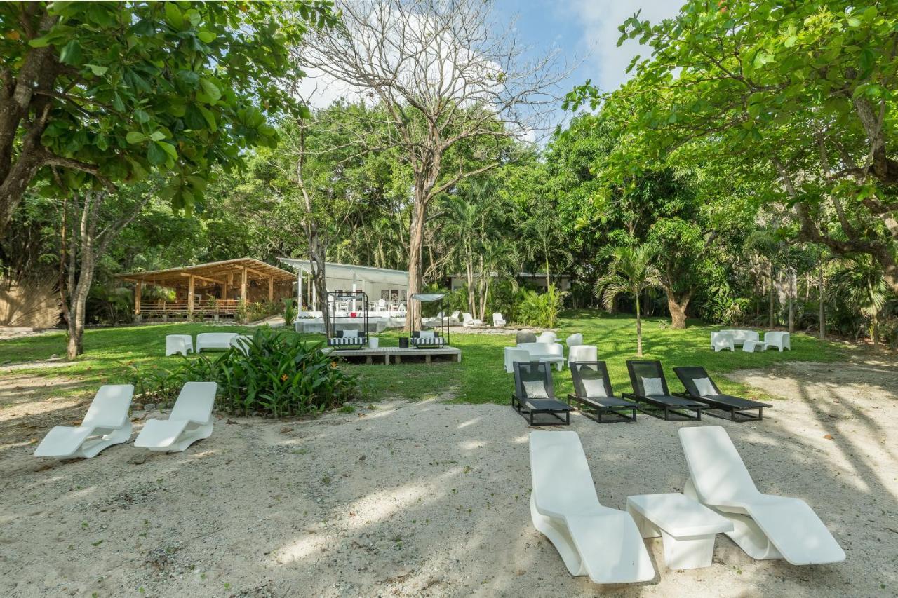 Gigi Brown Beachfront Santa Teresa マルパイス エクステリア 写真